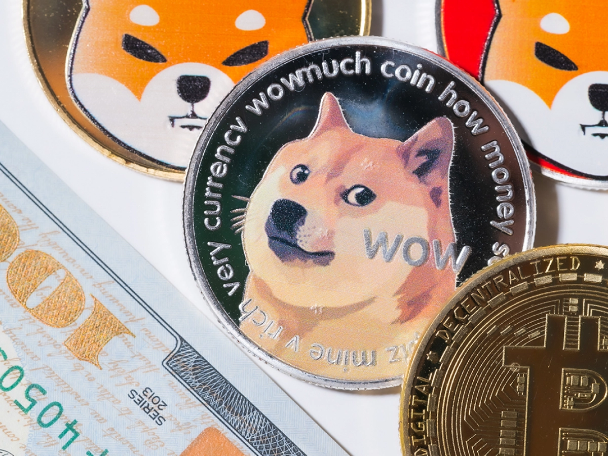 Müjde: SHIB, DOGE ve BTC Kabul Edildi! Benimsenme Artıyor