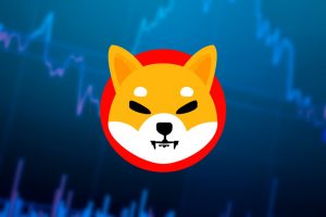 Shiba Inu (SHIB)'da Kritik Metrik Alarm Veriyor! İşte Detaylar
