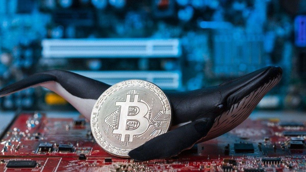 Santiment'ten Çarpıcı Bitcoin Raporu: Balinalar Satıyor mu?