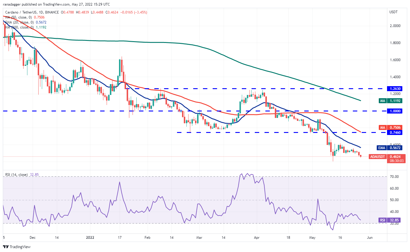 Açıklandı: İşte BTC, DOGE ve 8 Altcoin İçin Kritik Seviyeler!