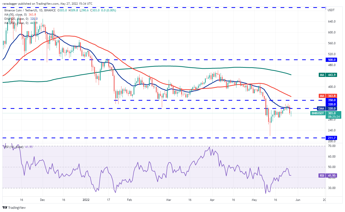 Açıklandı: İşte BTC, DOGE ve 8 Altcoin İçin Kritik Seviyeler!