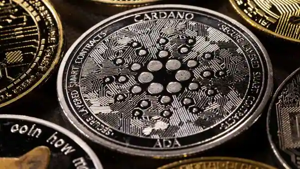 Cardano Yeni Bir Rekora İmza Attı! İşte Ayrıntılar