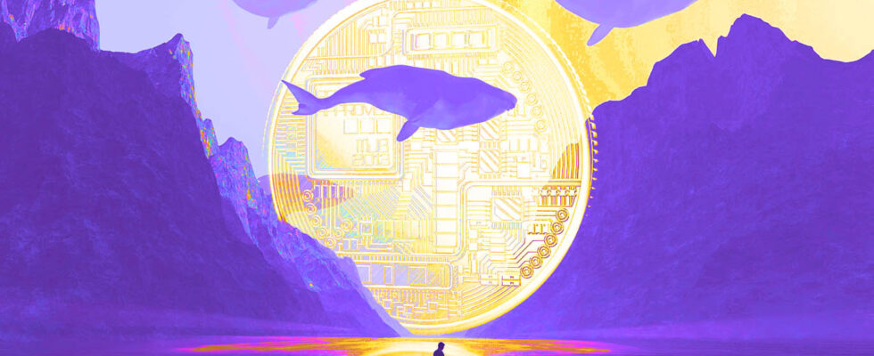 Balina İstilası: İşte Balinaların En Çok İlgi Gösterdiği 10 Altcoin!