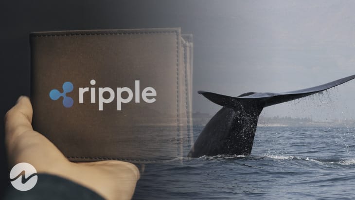 Ripple-SEC Davası Sürerken, Balinalar XRP Birikimlerini Büyütmeye Başladı!