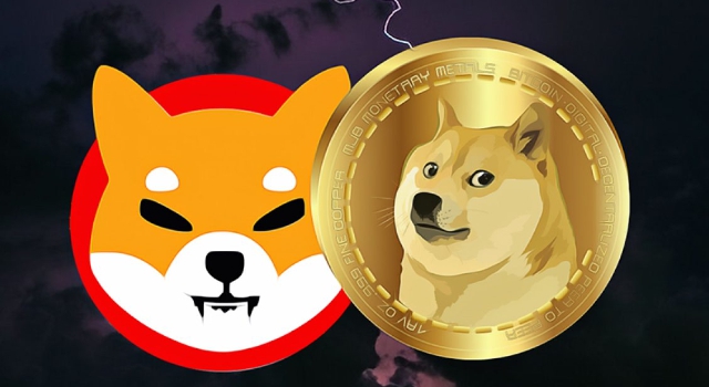 doge shib