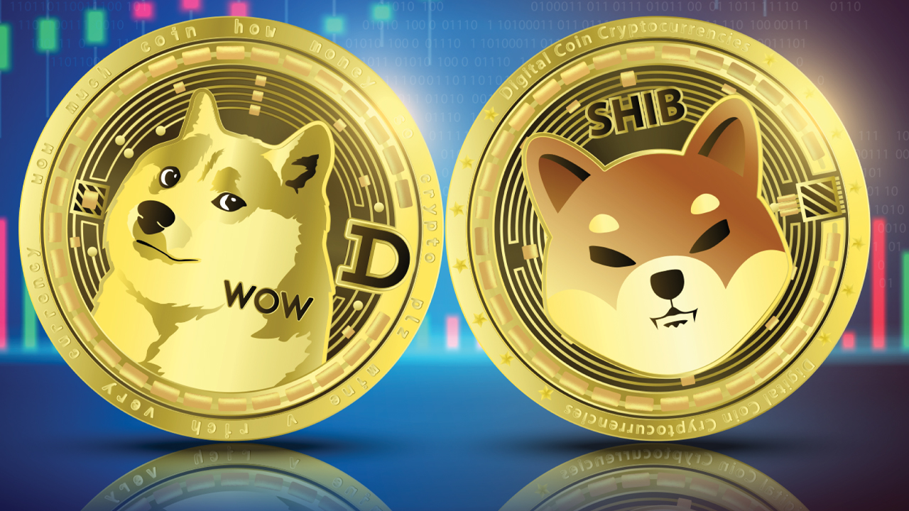 DOGE ve SHIB Bu Hafta Yüzde 25'lik Ralli Yapacak Ama...