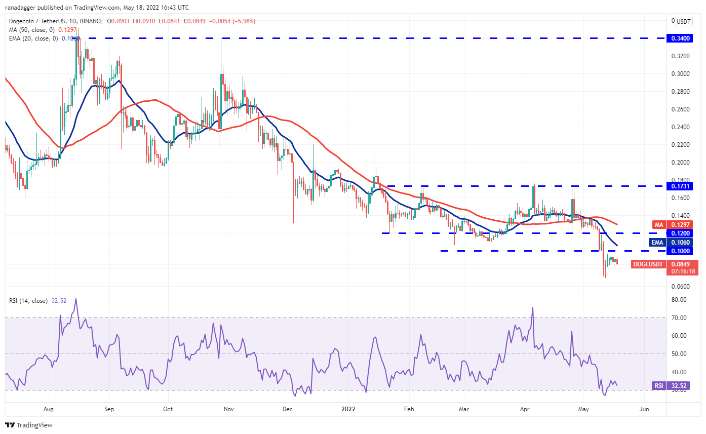 Bitcoin, DOGE, AVAX ve Bu 7 Altcoin İçin Kritik Seviyeler Belli Oldu!