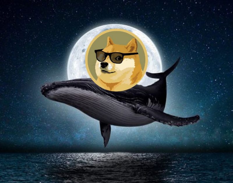 Kripto Balinasından Dev Hamle: Meme Coin İlk 10'a Girdi!
