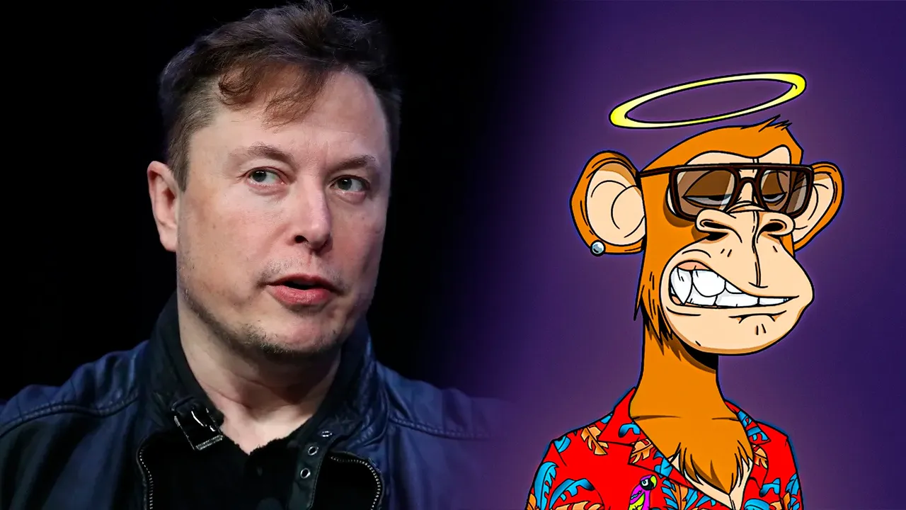 Metaverse Altcoin Elon Musk Sayesinde Uçuşa Geçti