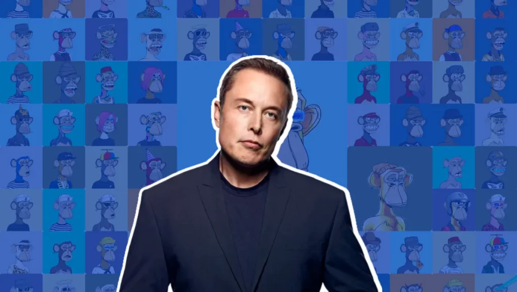 Metaverse Altcoin Elon Musk Sayesinde Uçuşa Geçti
