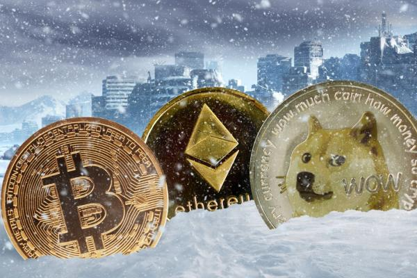 DOGE Kurucusu Uyardı: Aldatmaca Olabilir!
