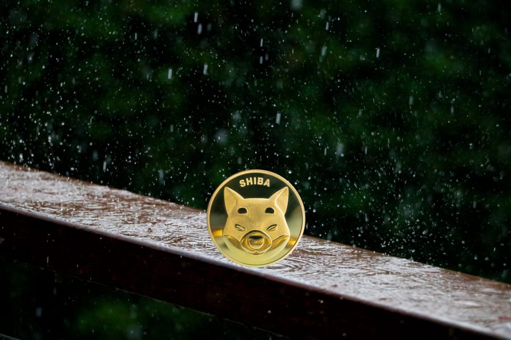 Shiba Inu İçin Bu Haftaya Dikkat! İşte Kritik Seviyeler