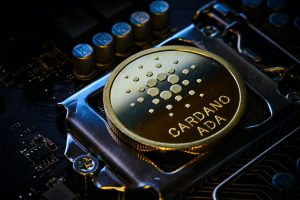 Santiment'ten Kritik Cardano Açıklaması: Zirveye Ulaştı