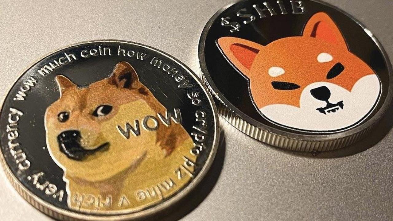 Rekabet Kızışıyor: SHIB, Dogecoin ile Farkı Kapattı!