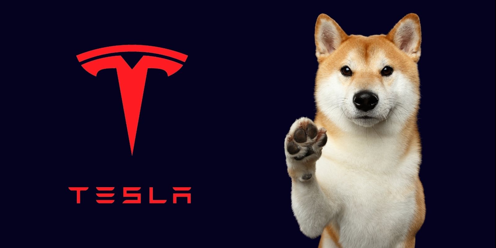 Elon Musk Açıkladı: DOGE ile Satın Alınabilir!
