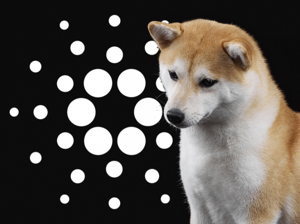 SHIB, Cardano ve Bu Altcoin İçin Kar Alınabilecek Seviyeler Açıklandı!