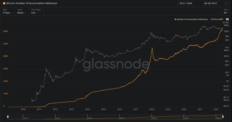 Bu Kritik Metrik Bitcoin İçin Ralli Sinyali Veriyor!