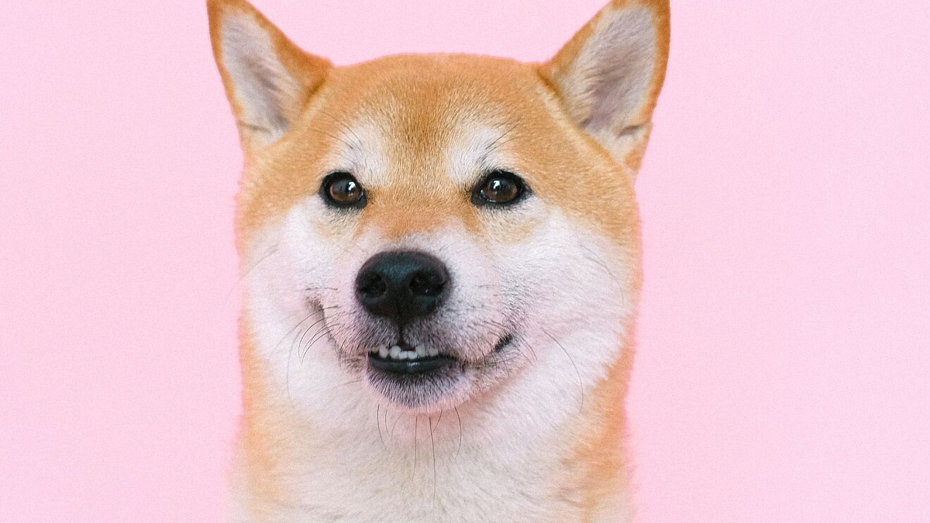 Shiba Inu Fiyatı Haftaya Ne Olacak? İşte Kritik Seviyeler!