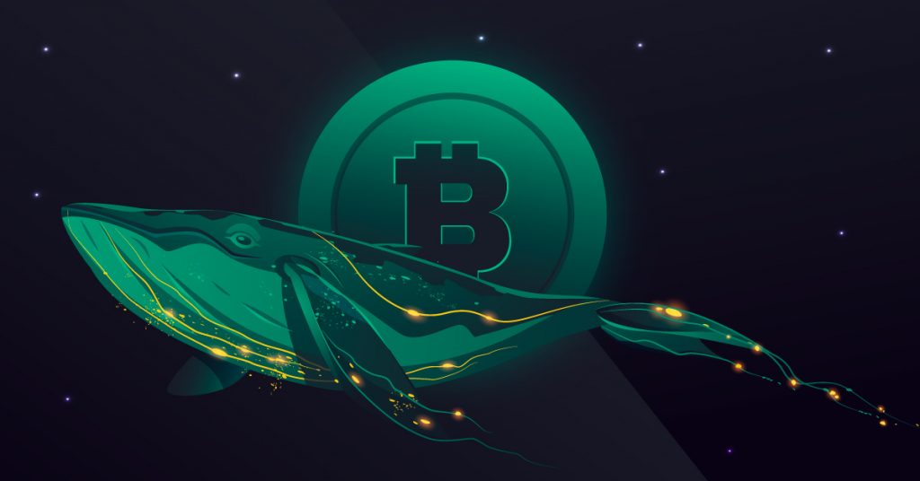 BTC Köpekbalıkları ve Balinalar Rekor Düzeylere Çıktı! Fiyatı Etkiler mi?
