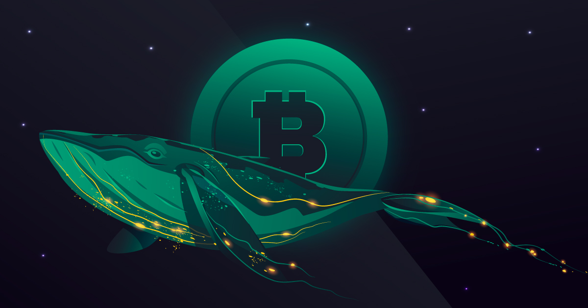 Balinalar Borsalara BTC Taşıyor! Ne Olacak?