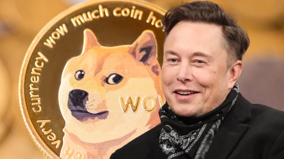 Şok: Elon Musk DOGE'den Uzaklaştırılıyor!