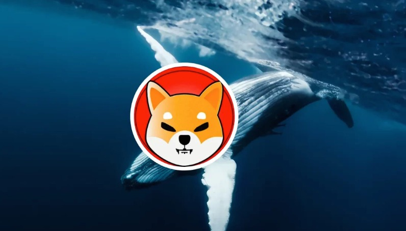 Dev Bir Kripto Para Balinası Shiba Inu (SHIB)'e Saldırdı! Devasa Birikim