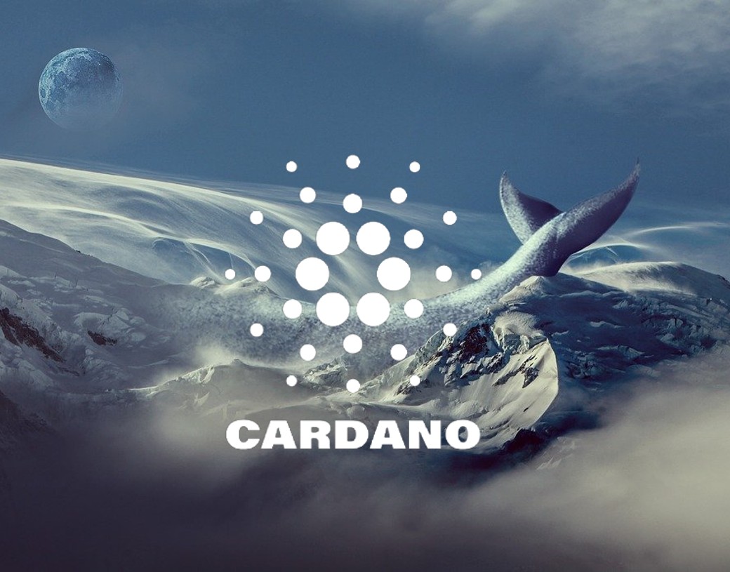 Balina Konuştu: Cardano Almak İçin Doğru Zaman mı?