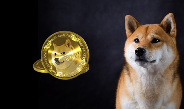 Binance Balinası Bu Altcoin'den Devasa Miktarda Topladı!