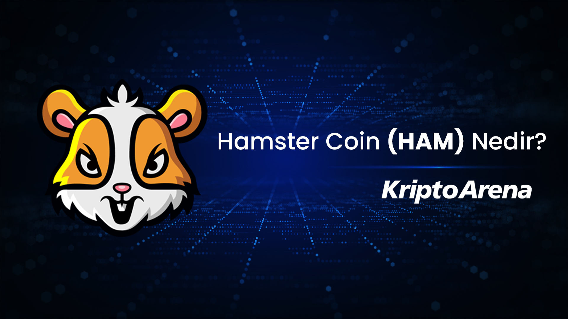 Hamster Coin Nedir? HAM Ne İşe Yarar?