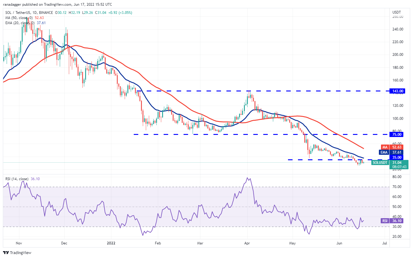 BTC, DOGE, AVAX ve Bu 7 Altcoin İçin Kritik Seviyeler Belli Oldu!