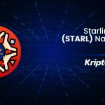 Starlink Nedir? StarL Nasıl Alınır?