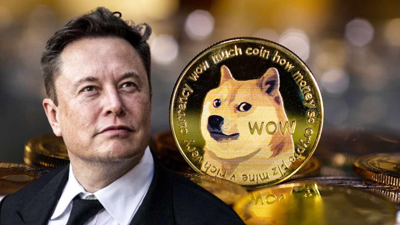 Elon Musk Bombayı Patlattı: Dogecoin Web69 !