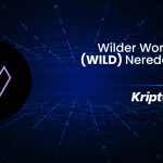 Wilder World Nedir? WILD Nereden Alınır?