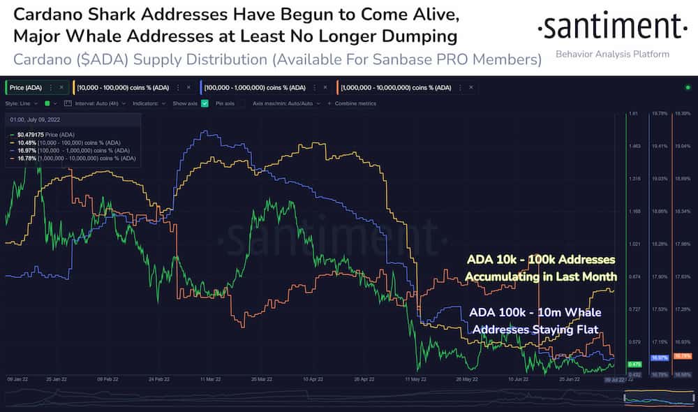 cardano
