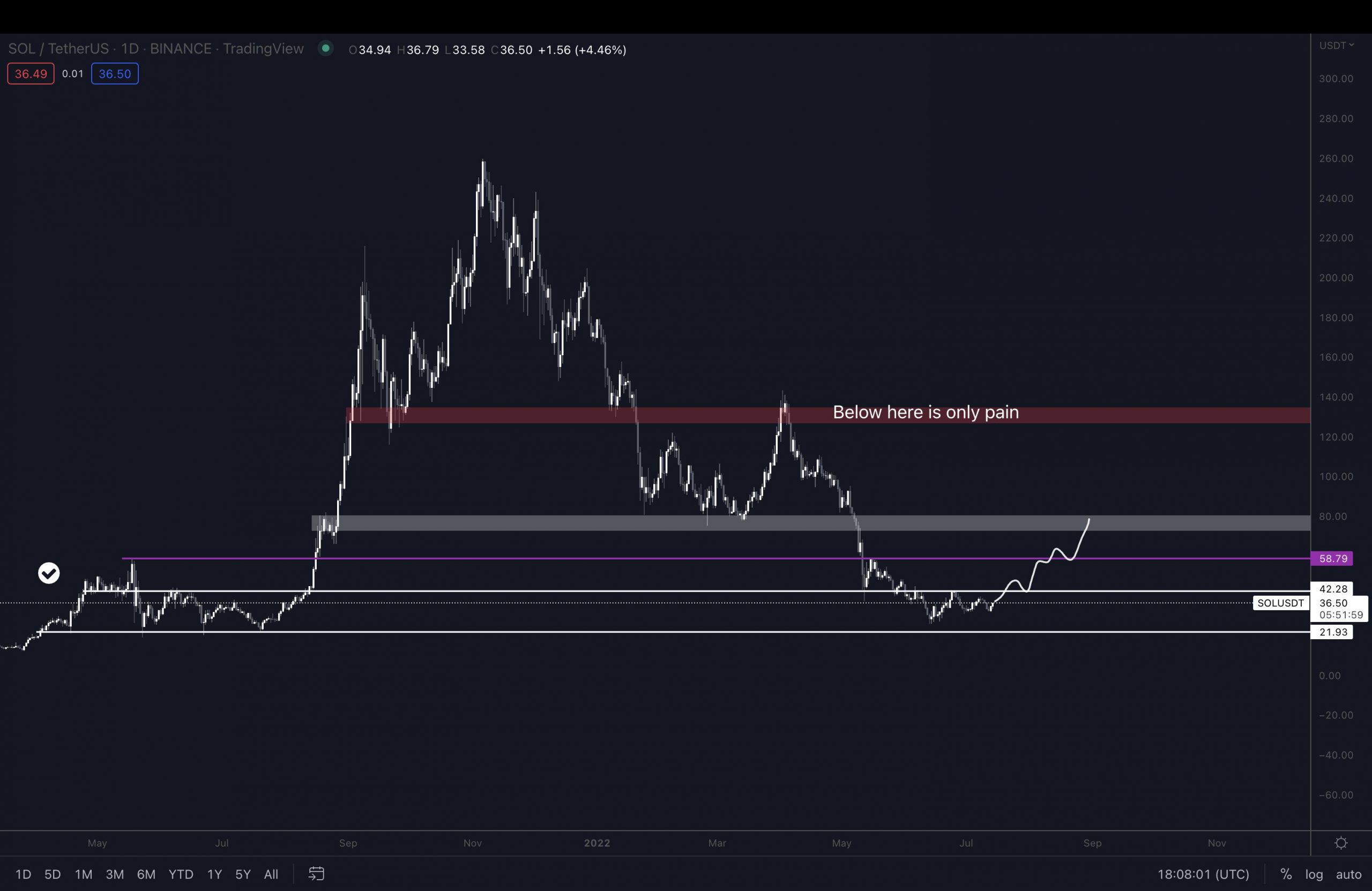 Ünlü Analist Açıkladı: Bu Altcoin Uçacak, Diğeri İse Çökecek!