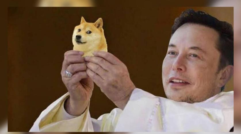 Dogecoin Benimsenmesi Elon Musk'ın Desteğiyle Artıyor! İşte Gelişmeler