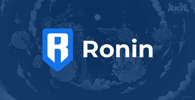 Bu Büyük Metaverse Altcoin Şok Yaşadı! Fonlar Kaybolmuş Olabilir mi?