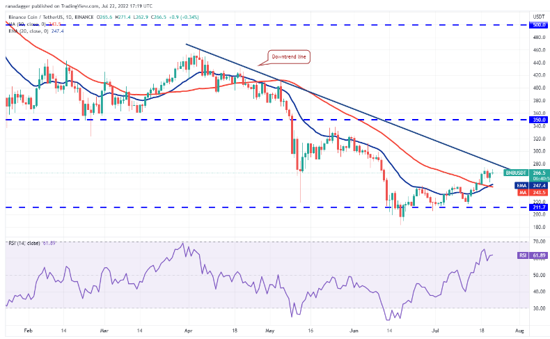 altcoin