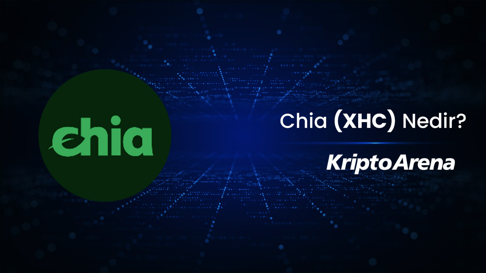 Chia Network Nedir? XCH Nasıl Alınır?