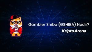 Gambler Shiba Nedir? GSHIBA Ne İşe Yarar?Gambler Shiba Nedir? GSHIBA Ne İşe Yarar?