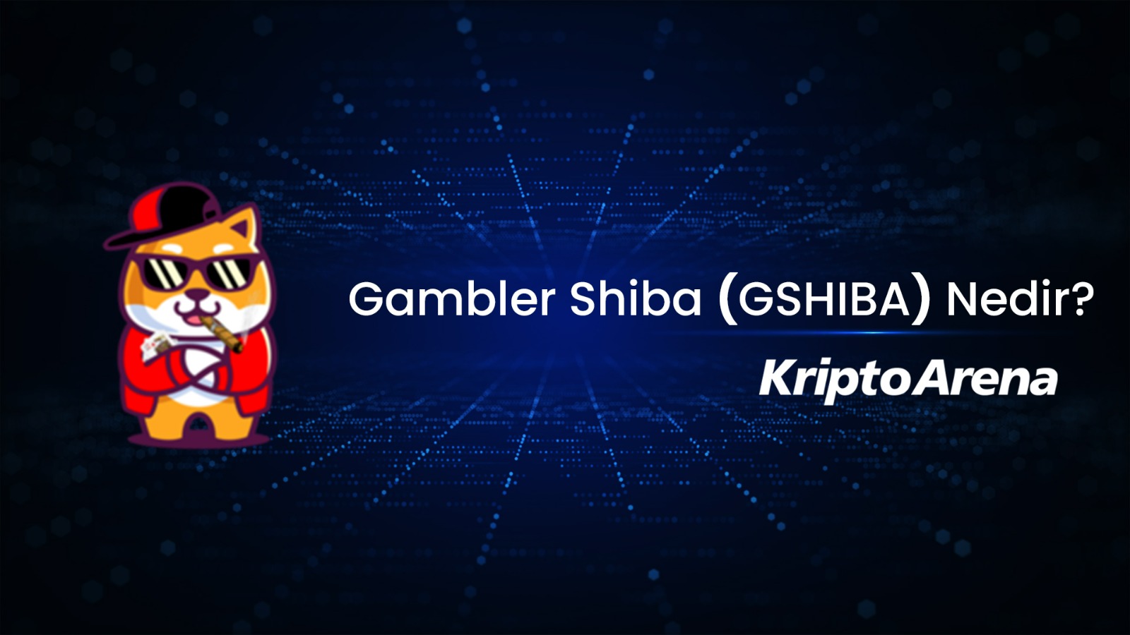 Gambler Shiba Nedir? GSHIBA Ne İşe Yarar?