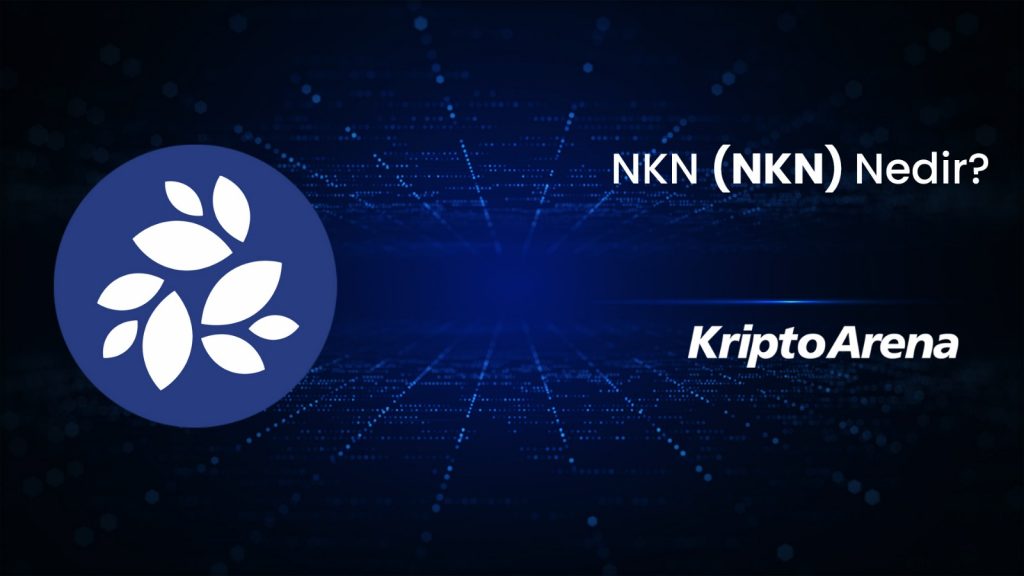NKN Nedir? NKN Coin Ne İşe Yarar?