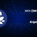 NKN Nedir? NKN Coin Ne İşe Yarar?