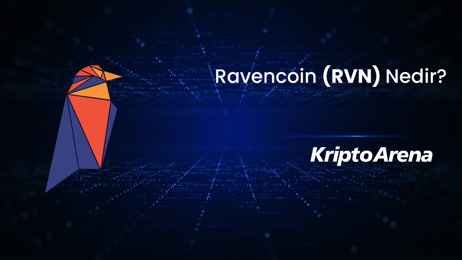 Ravencoin Nedir? RVN Ne İşe Yarar?
