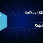 Selfkey Nedir? KEY Ne İşe Yarar?