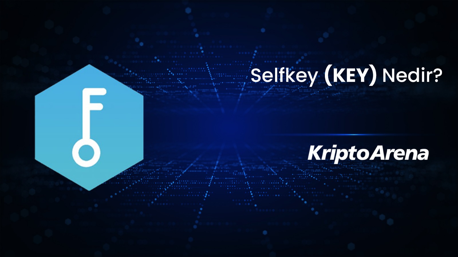 Selfkey Nedir? KEY Ne İşe Yarar?