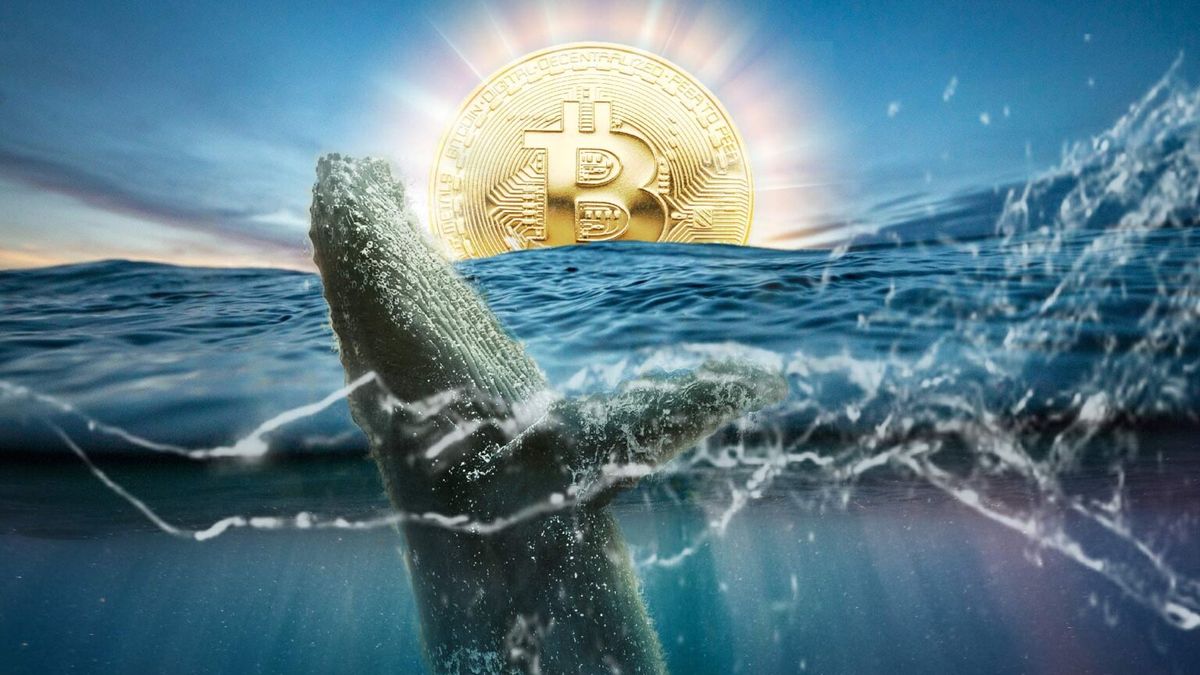 Balina Saldırısı Devam Ediyor! BTC 27 Bin Dolara Çıkabilecek mi?