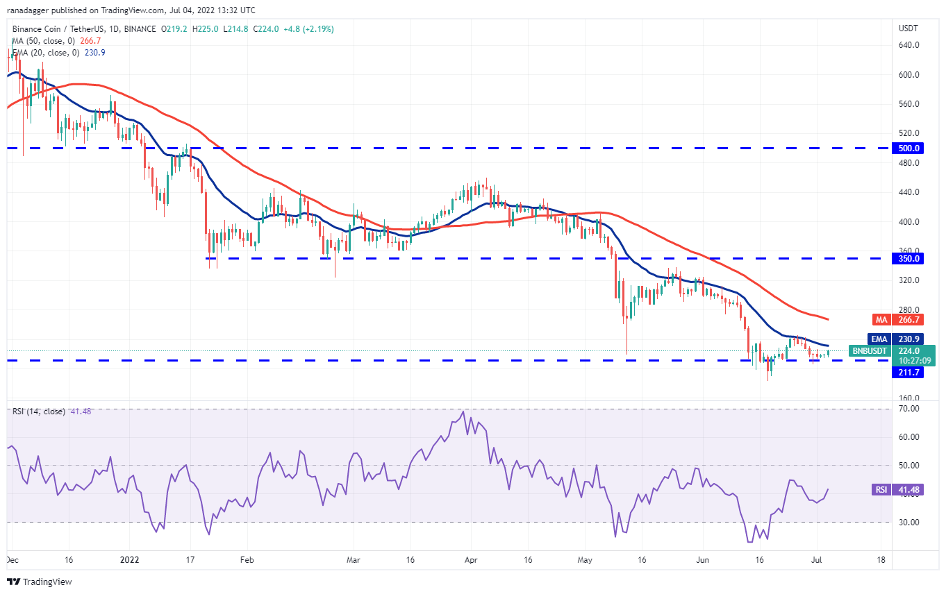 BTC, DOGE, SHIB ve Bu 7 Altcoin İçin Al-Sat Fiyatları Belli Oldu!