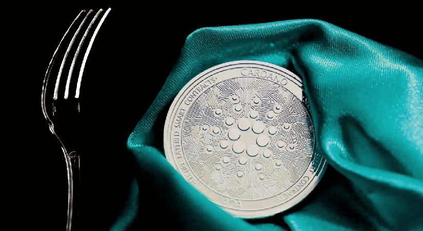 Vasil Hard Fork Yine Ertelendi! Cardano'ları Satmalı mı Beklemeli mi?