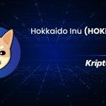 Hokkaido Inu nedir? HOKK Ne İşe Yarar?